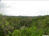 Bosque Guajataca  - ISABELA